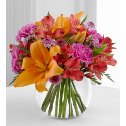Sentiments Flowers For Any Occasions