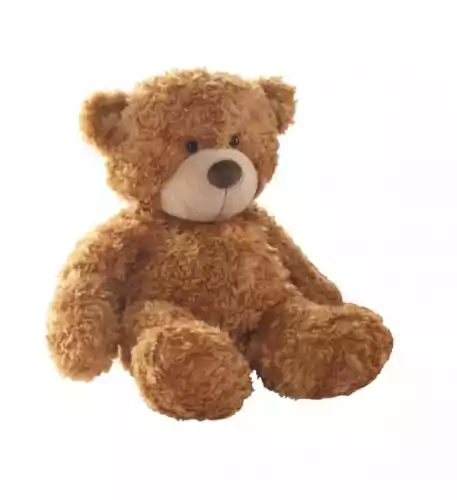 Bonnie Brown Teddy Bear