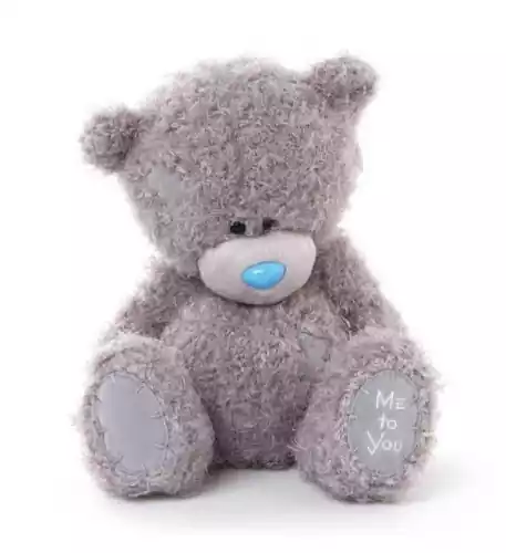 12 Me to You Bear Personalised Teddy Bear