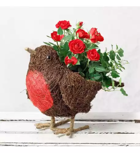 Christmas Robin Planter