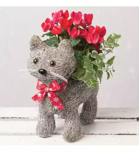 Christmas Cat Planter