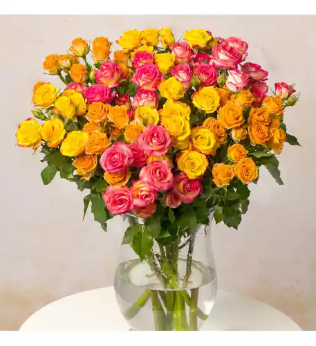 Autumn Spray Roses (Standard (6 stems))