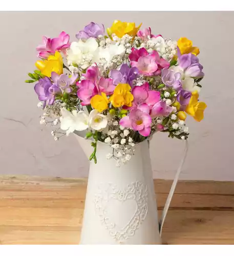 Freesias and Gypsophila (Letterbox (22 Stems))