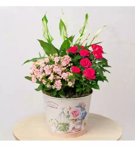 Pink Flower Planter