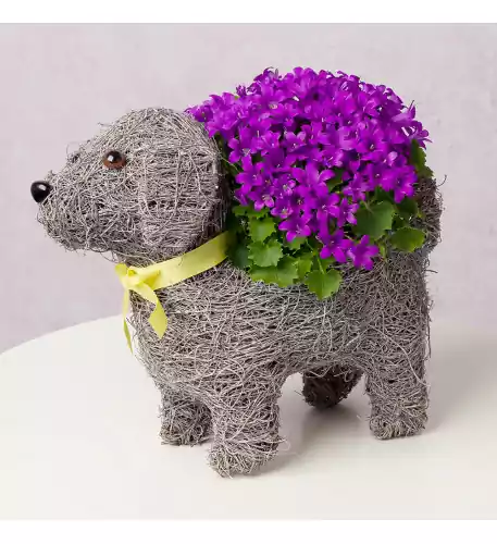 Dog Planter