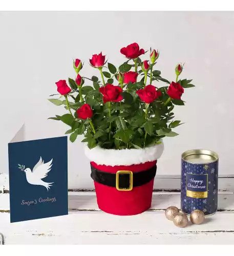 Santa Red Rose Gift