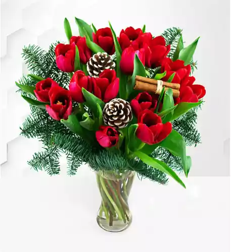 Christmas Tulips (Standard)